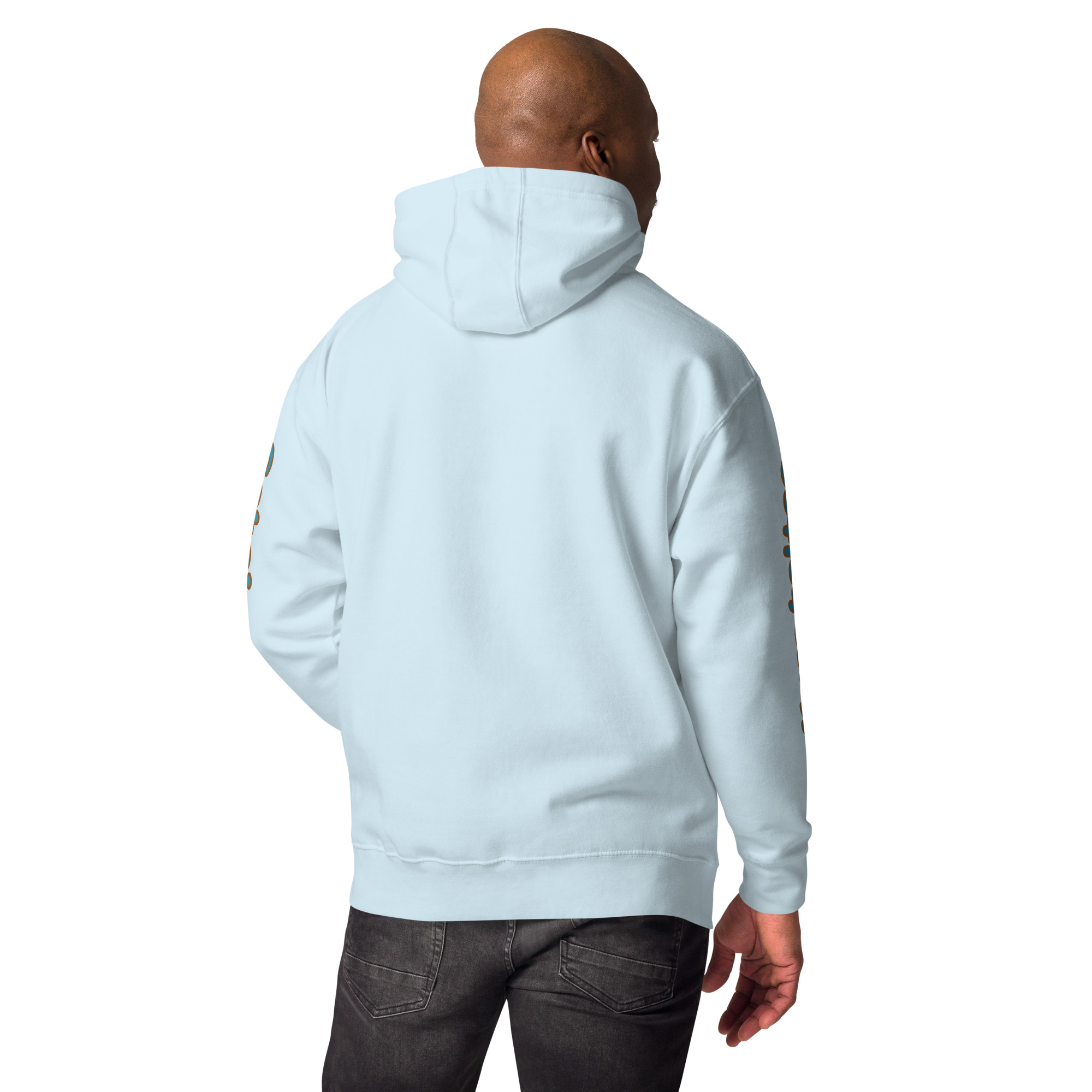 cotton-heritage-m2580-i-unisex-premium-pullover-hoodie-sky-blue-back-6942fe303be10.jpg